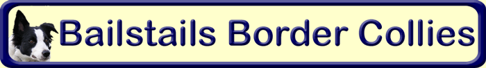 Bailstails